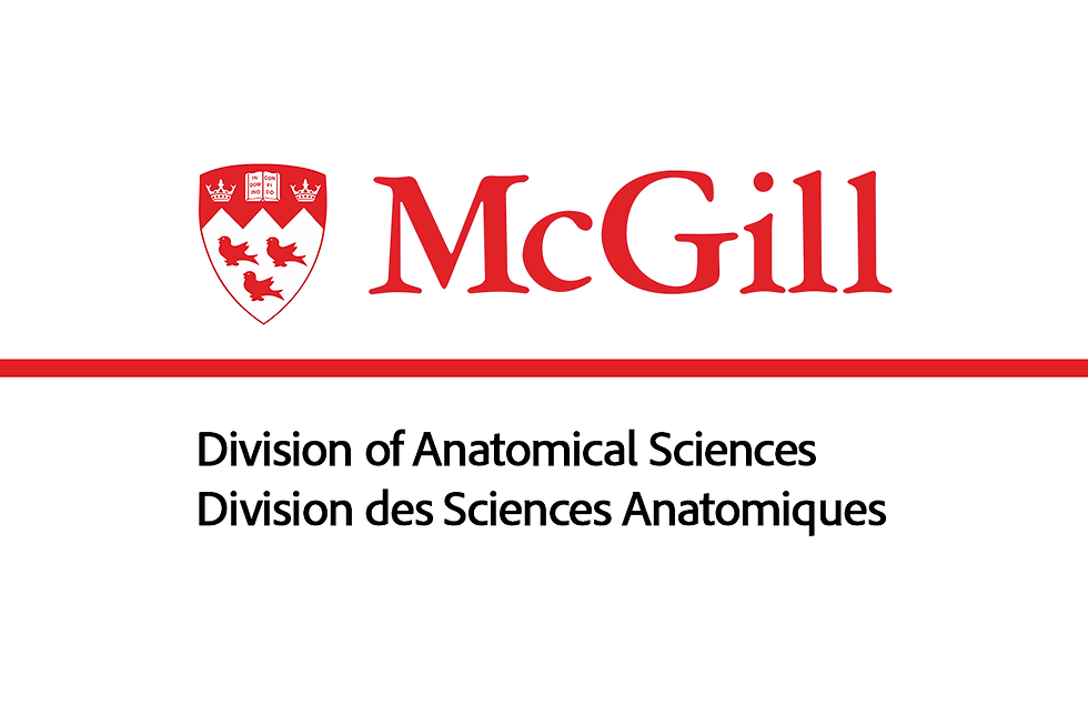 Anatomy prosection - McGill :  18 novembre 2025