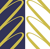 LOGO IFMQ + FQM grand.png