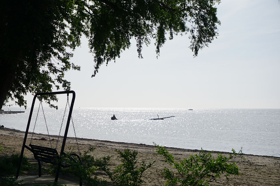DSC09936.jpeg