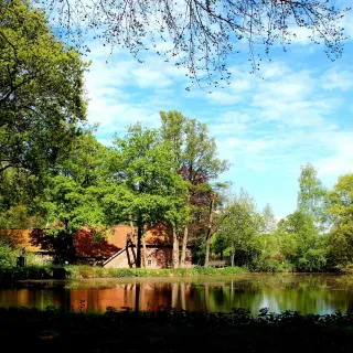 Watermolen Frans.webp