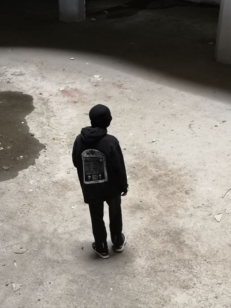 Thumbnail: Memento Mortalis Hoodie