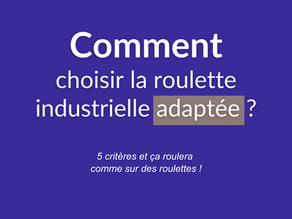 Guide Roulette : Comment choisir la roulette industrielle adaptée ? Texte indiquant '5 critères et ça roulera comme sur des roulettes !'. En bas de l'image, le logo 'Mino & Lorenzini SA' avec la mention 'Groupe PROVOST' en dessous.
