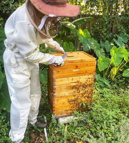 Beekeeper.JPG
