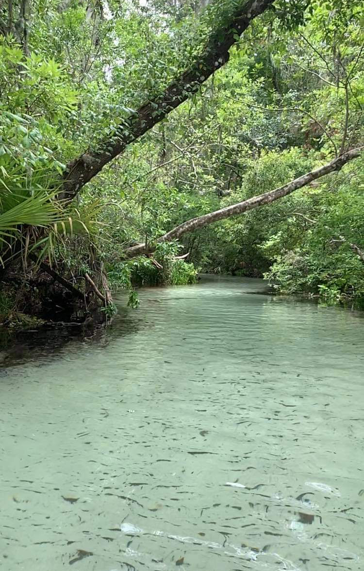 Blue Run Cart Master & River Rat RentalsRainbow River Dunnellon Florida