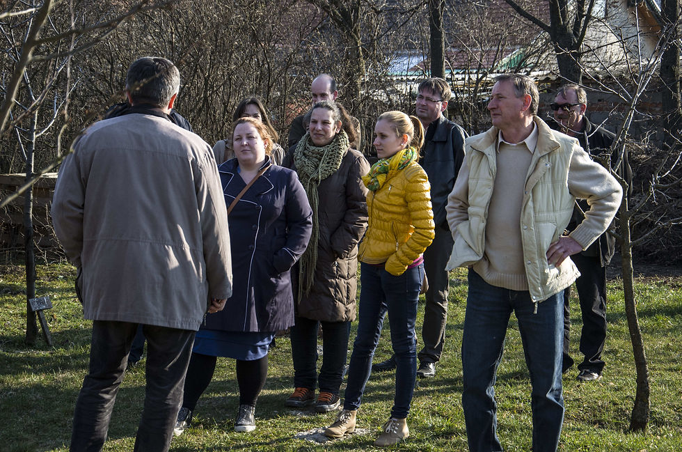 II. Polgármesteri Kollégium