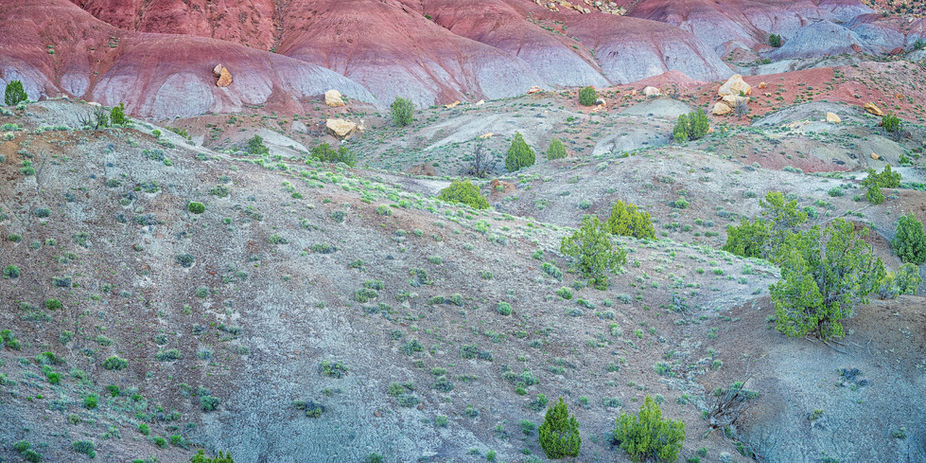 photo of bentonite and eroded sandstone walls in the Circle Cliffs, Long Canyon, Grand Staircase-Escalante National Monument. 