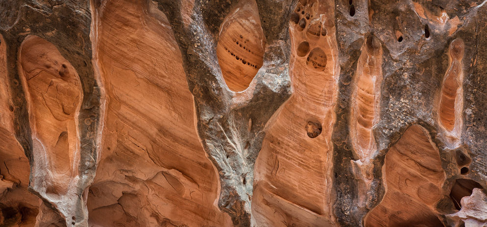 Erosion of the sandstone created letter-like figures in Little Death Hollow in Grand Staircase-Escalante National Monument. 