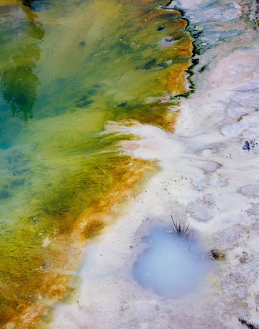 Different colors of hot springs in Yellowstone National Park.  , 