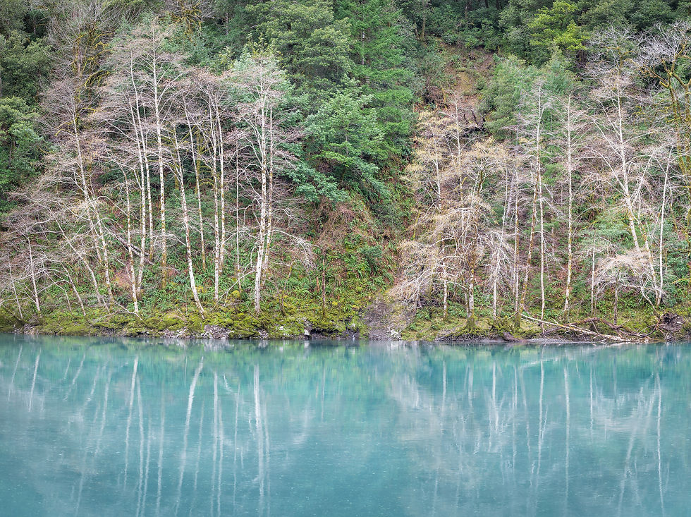 Wild Rivers Coast