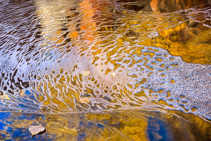 abstract image of lacy foam and a leaf on a pool in Phipps Wash, Escalante Canyons, Grand Staircase-Escalante National Monument. 