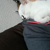 "Wina" - den besten Platz finden und immer wieder bequem einrichten