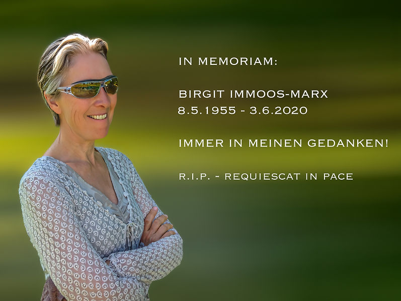 Birgit Perigord-Birgit Perigord-IMG_2253-1-RIP.jpg