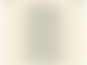 The Voting Rights Act of 1965