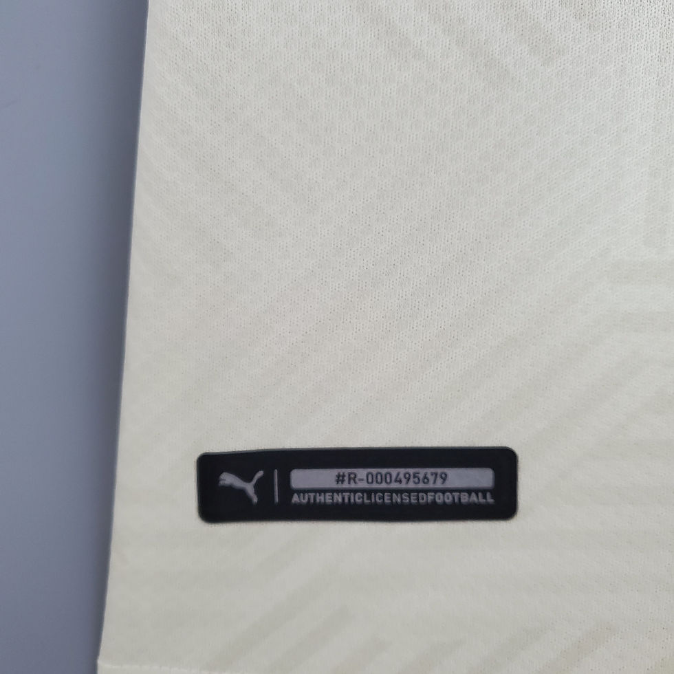 Miniatura: Camisa Puma AC Milan 2021/22