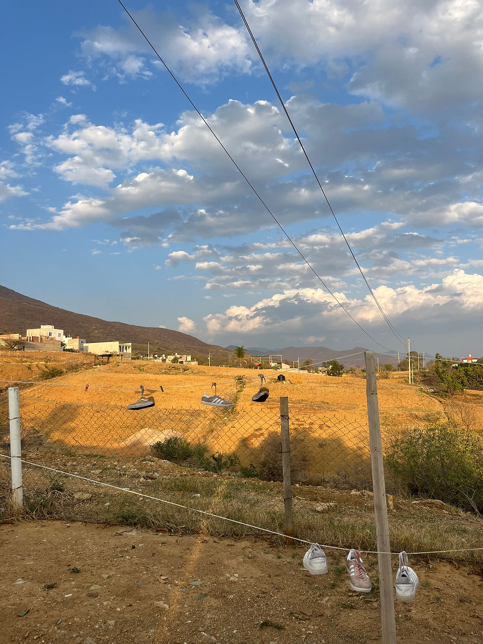 The view from my backyard....