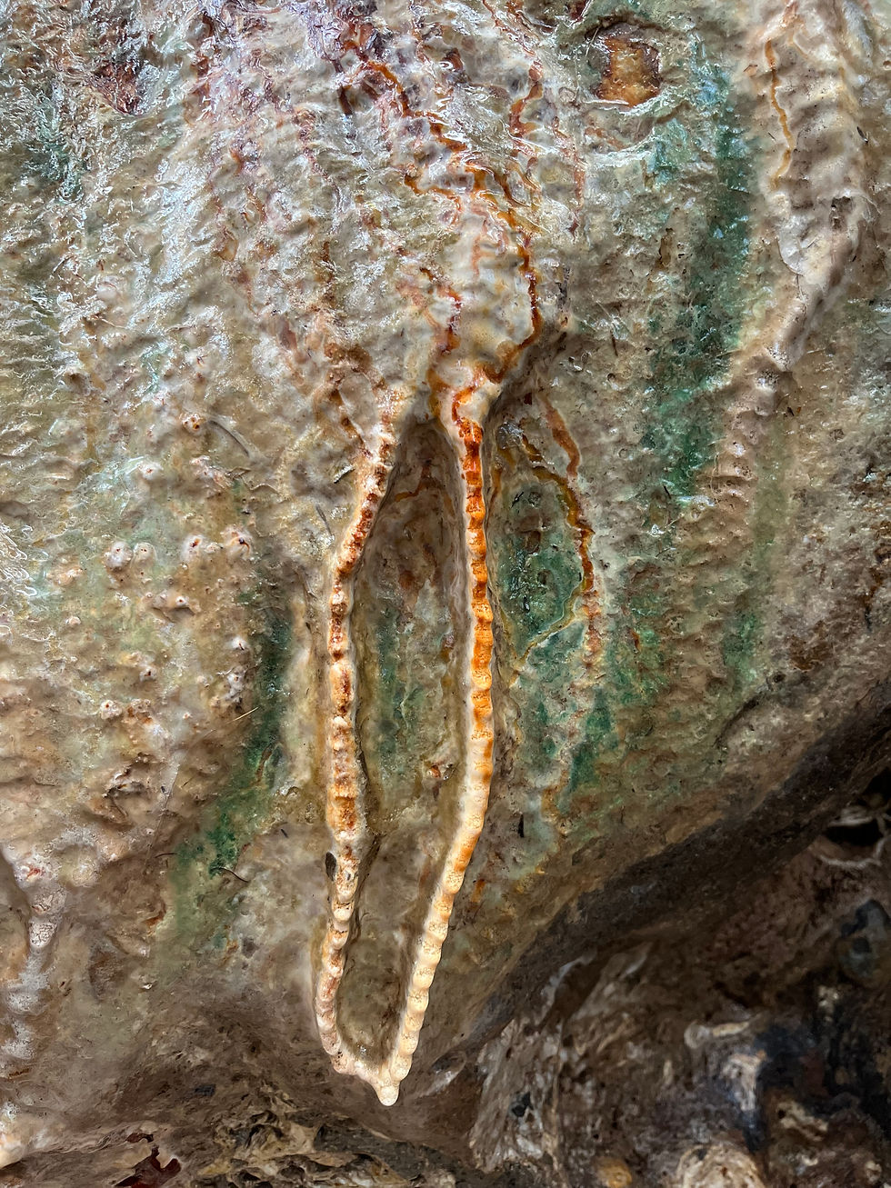 The Stones Vulva