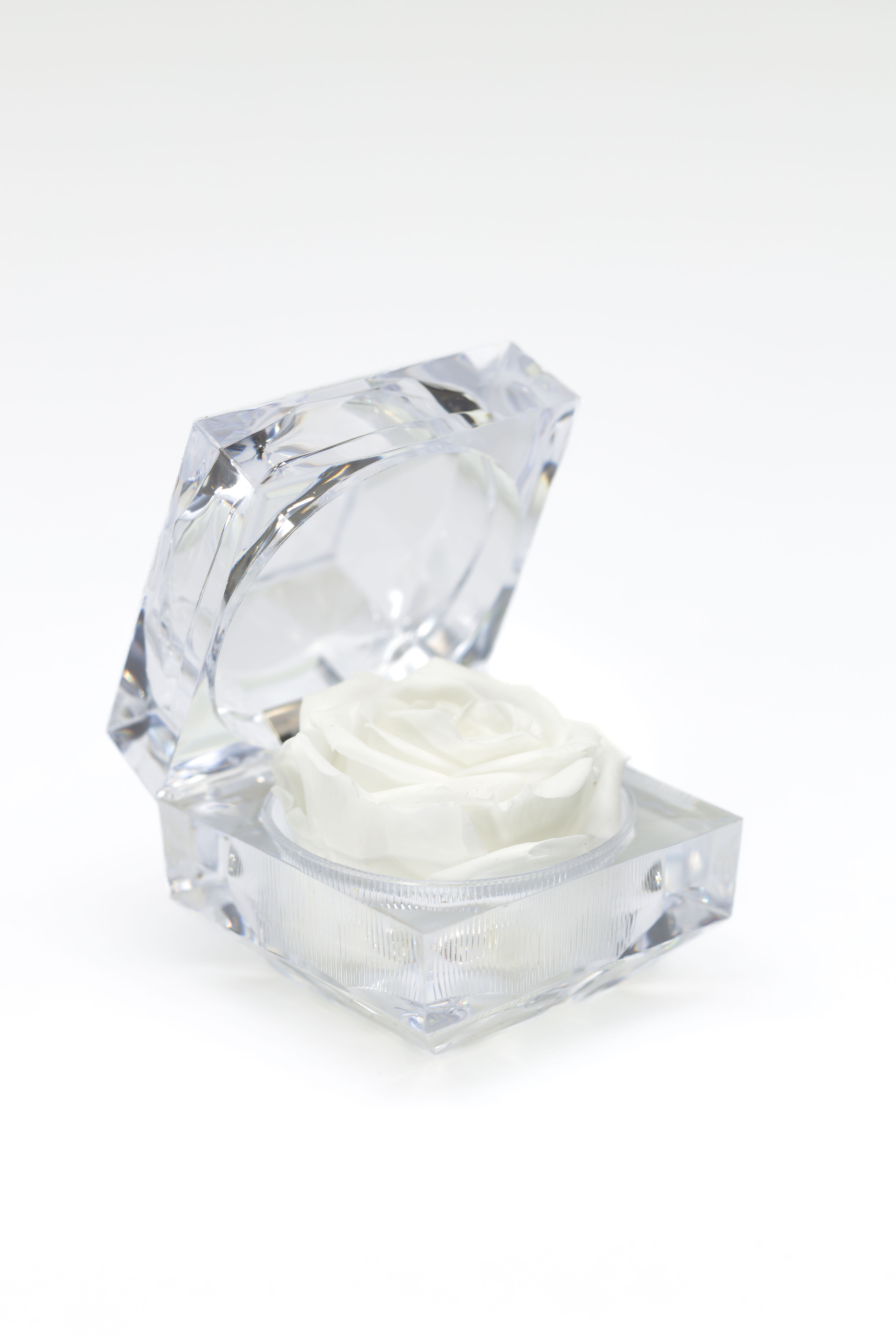 Jewelry Rose Box - White