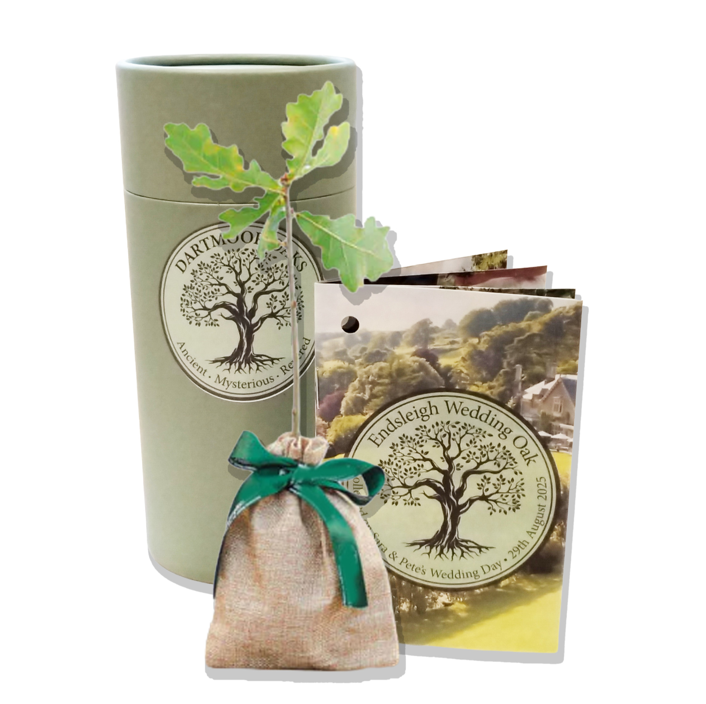 Oak Sapling with personalised booklet