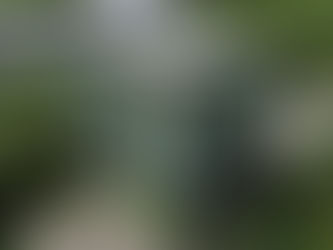 Residence Inn by Marriott expande su huella en Costa Rica con nueva apertura en El Coyol