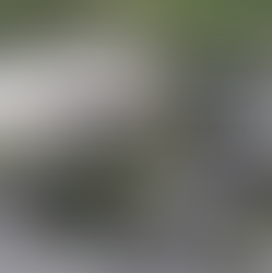 Guamapa Plaza: un complejo comercial que revitaliza San Pedro Sula