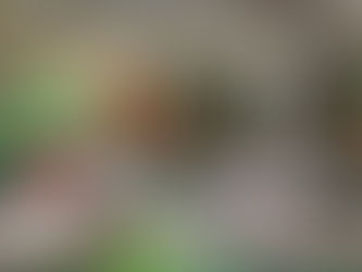 Moxy Hotels, un paraíso bohemio en México