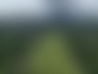 Oferta inmobiliaria apunta a proyectos con más zonas verdes y tecnología