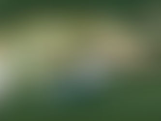 Construcción del Puerto Barú en Panamá iniciará en el 2024