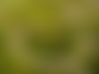 Avanza 50% construcción de paso multinivel del redondel Integración, El Salvador