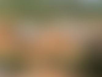 Puente modular sobre Río San Miguel, Panamá logra un avance de 65%