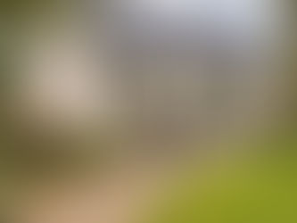 Planning a Garden Home for a Family Member