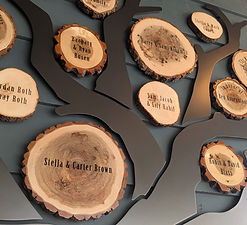 CAMP BARNEY DONOR TREE 2.jpg