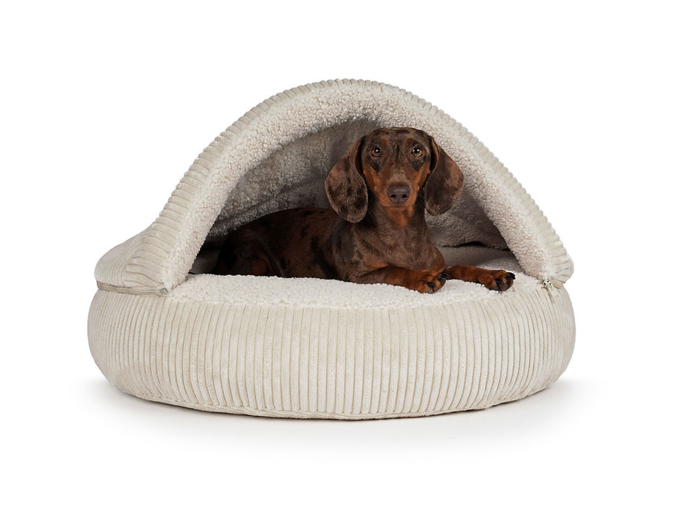 Miniaturbild: Hundehöhle Shell Cord