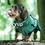 Miniaturbild: Bademantel dry up Cape - dark green Dackel