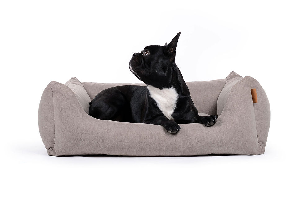 Miniaturbild: Hundebett Dreamer Cordline taupe