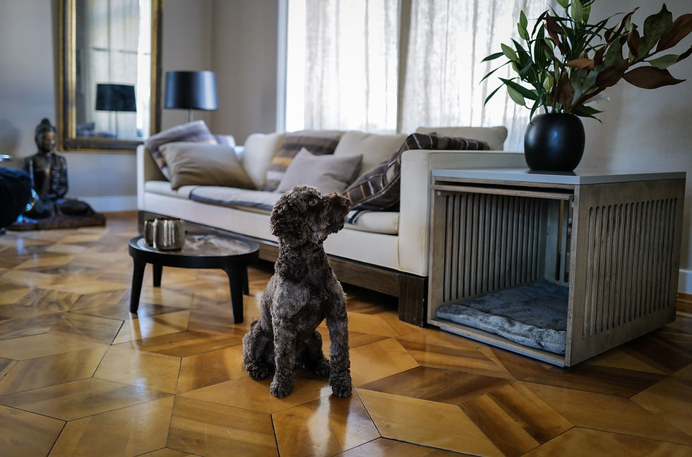 Miniaturbild: Hundebox Holz hell in Wohnzimmersetting