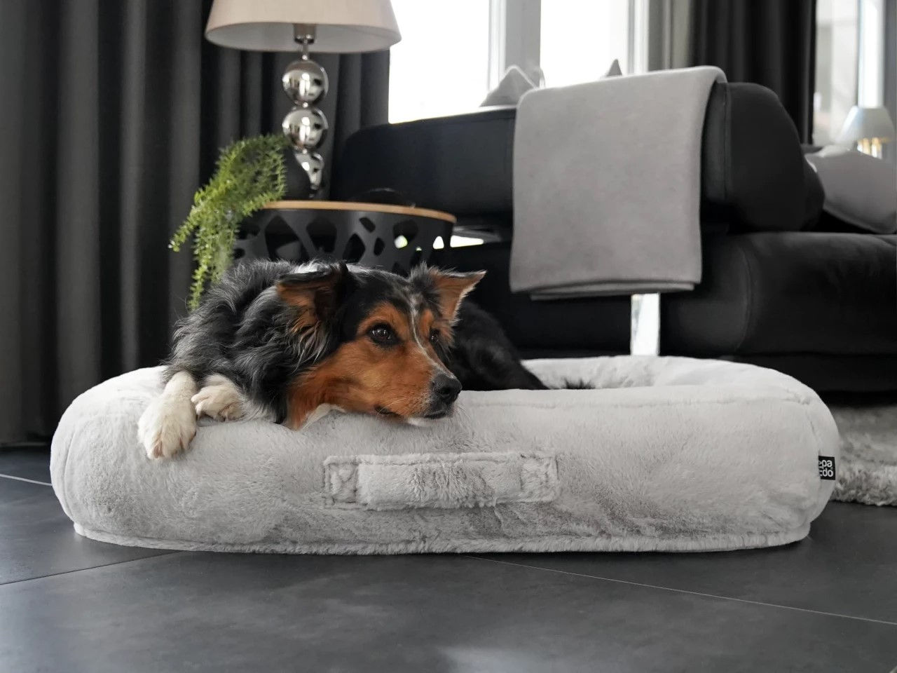 Hundebett Loui Plush