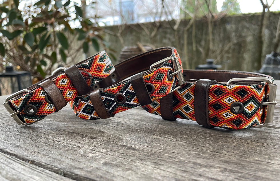 Miniaturbild: Hundehalsband & Freundschaftsarmband Bacalar