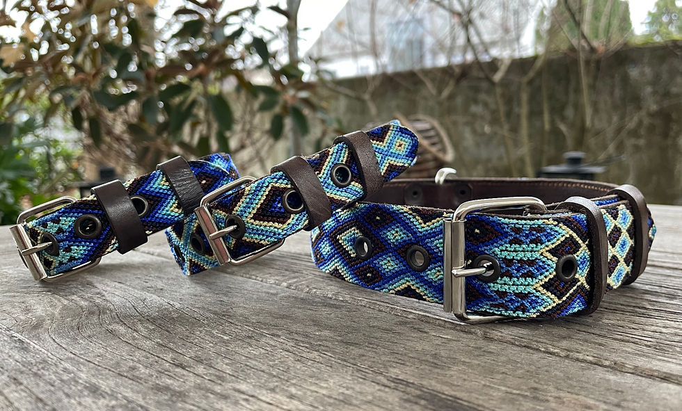 Miniaturbild: Hundehalsband & Freundschaftsarmband Tulum