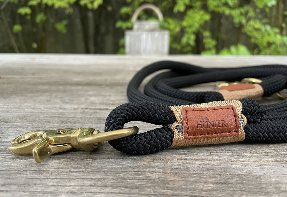 Miniaturbild: Hundeleine verstellbar schwarz Os mit goldenem Karabiner