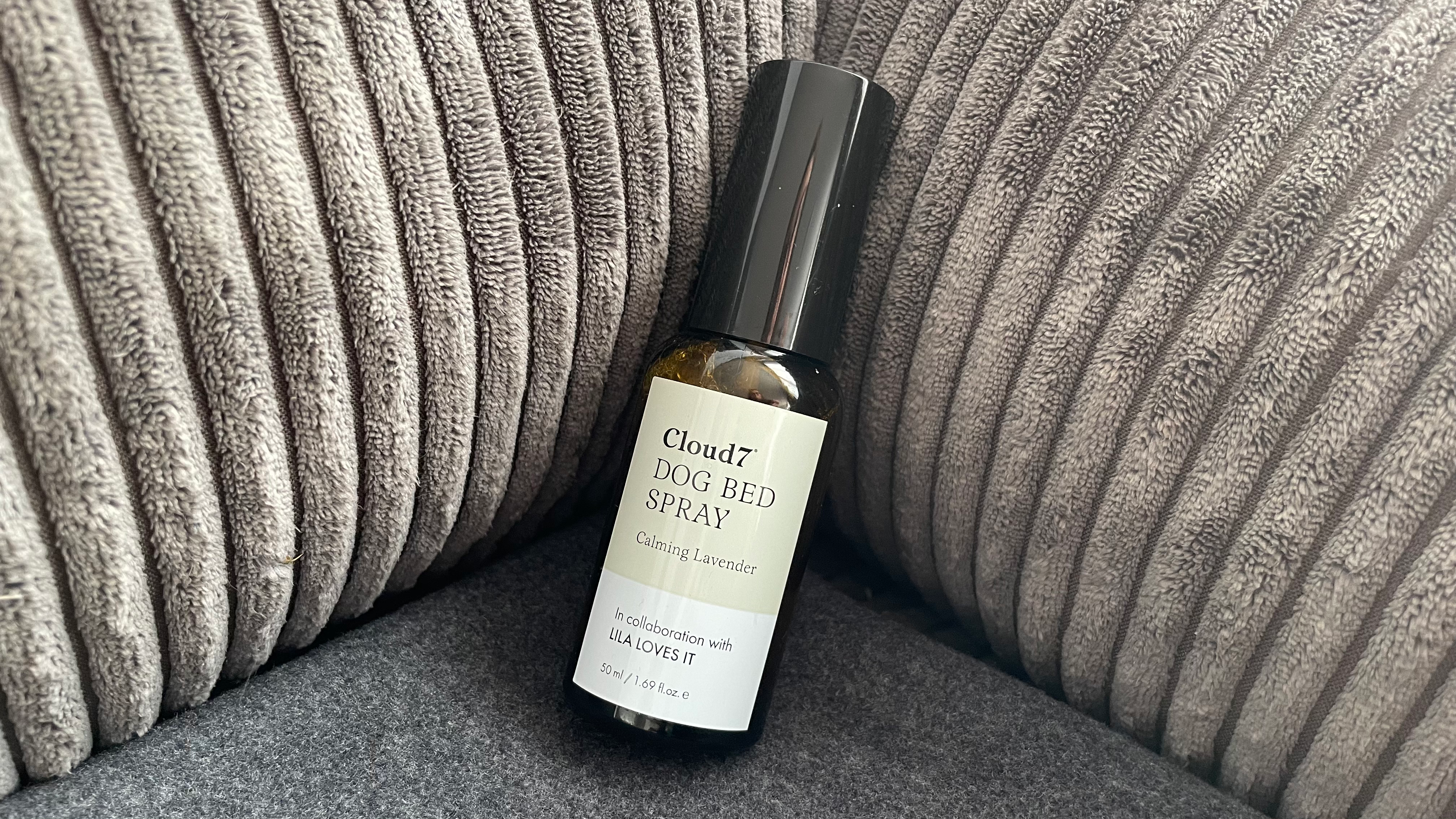 Körbchenspray Lila loves it für Cloud7