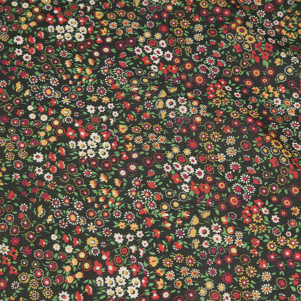 Miniaturbild: Bandana Botanischer Garten Cloud7