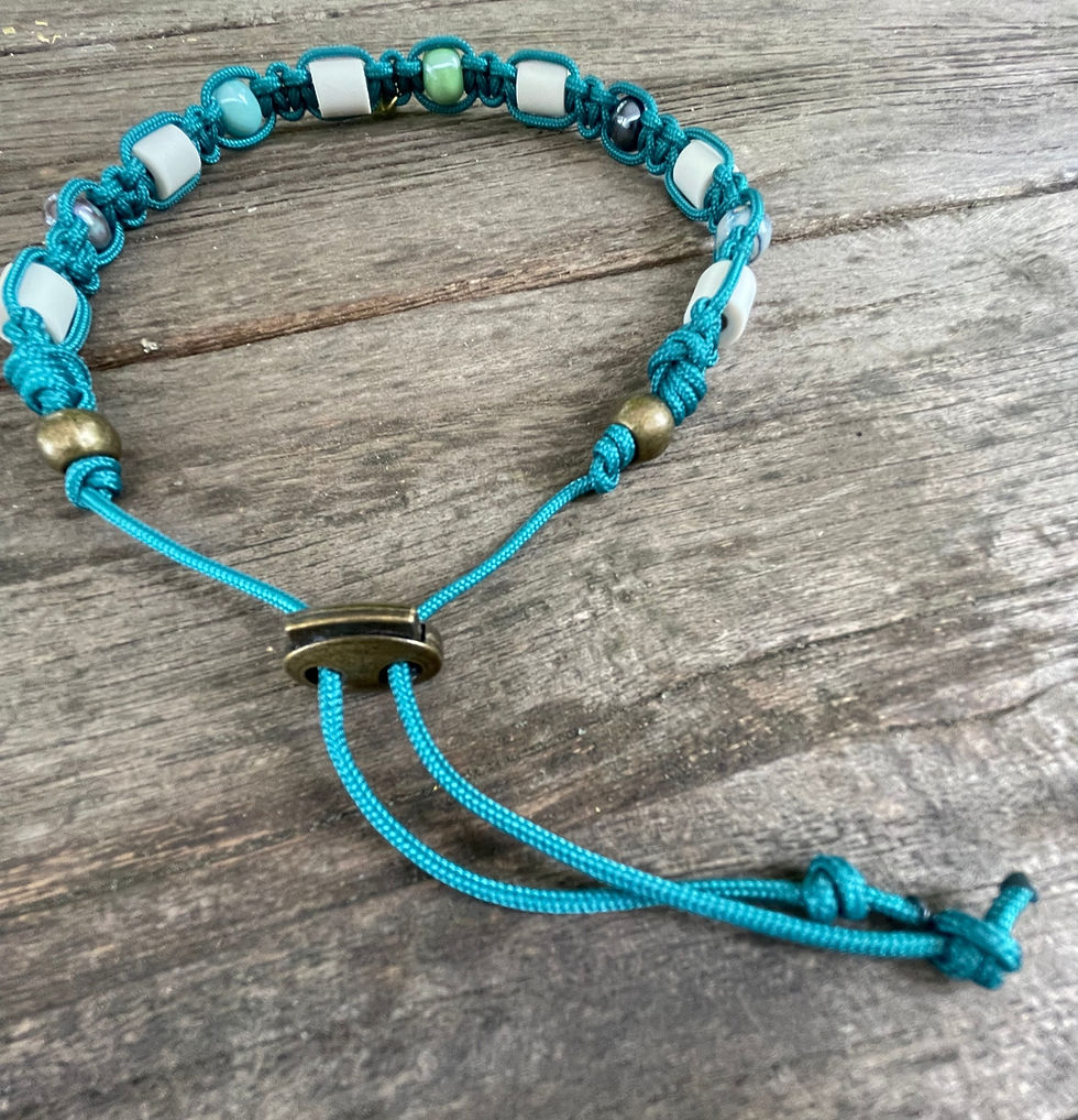 Miniaturbild: Dog Mala mit Zeckenschutz - Paracord teal