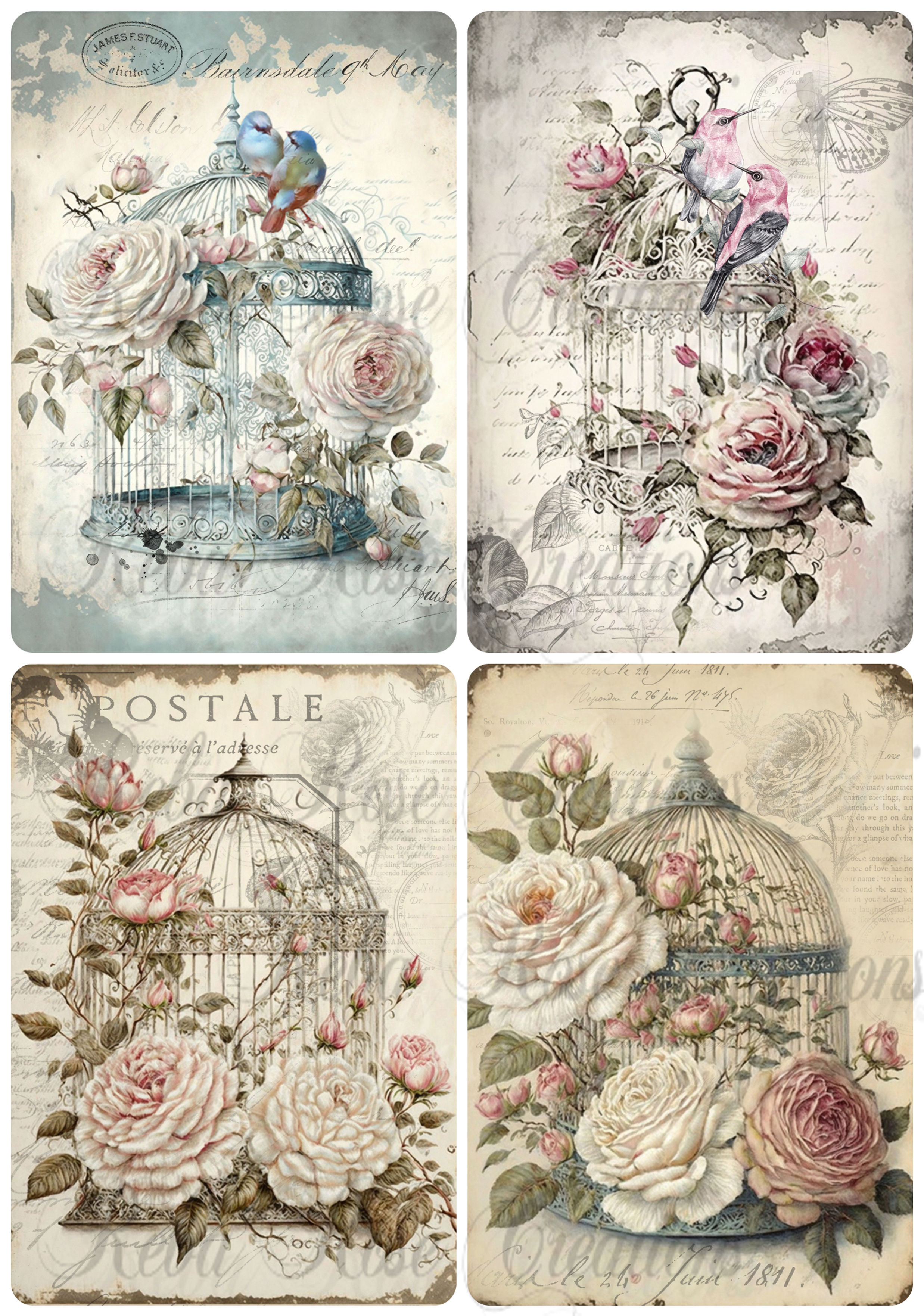 0320 - Beauty and Birdcages