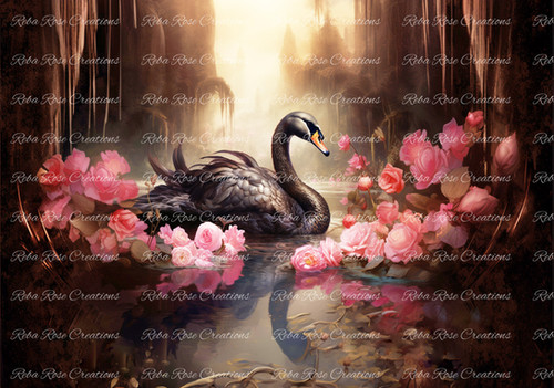 Pink Swan Rice Paper 0773 - Black Swan | Reba Rose CreationsA4 Rice Paper 11.75 x 8.25Great ...