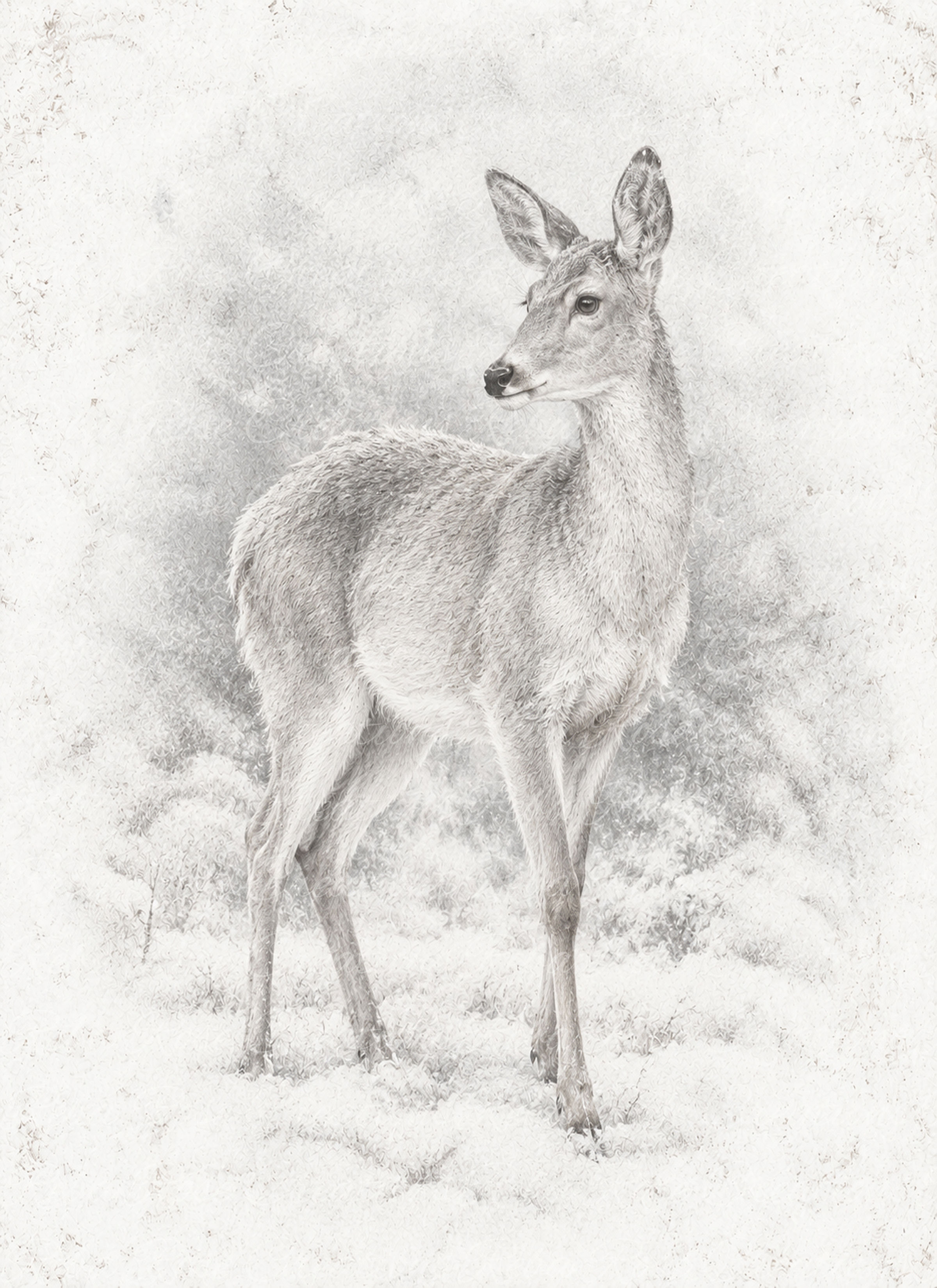 3242-White Christmas Doe