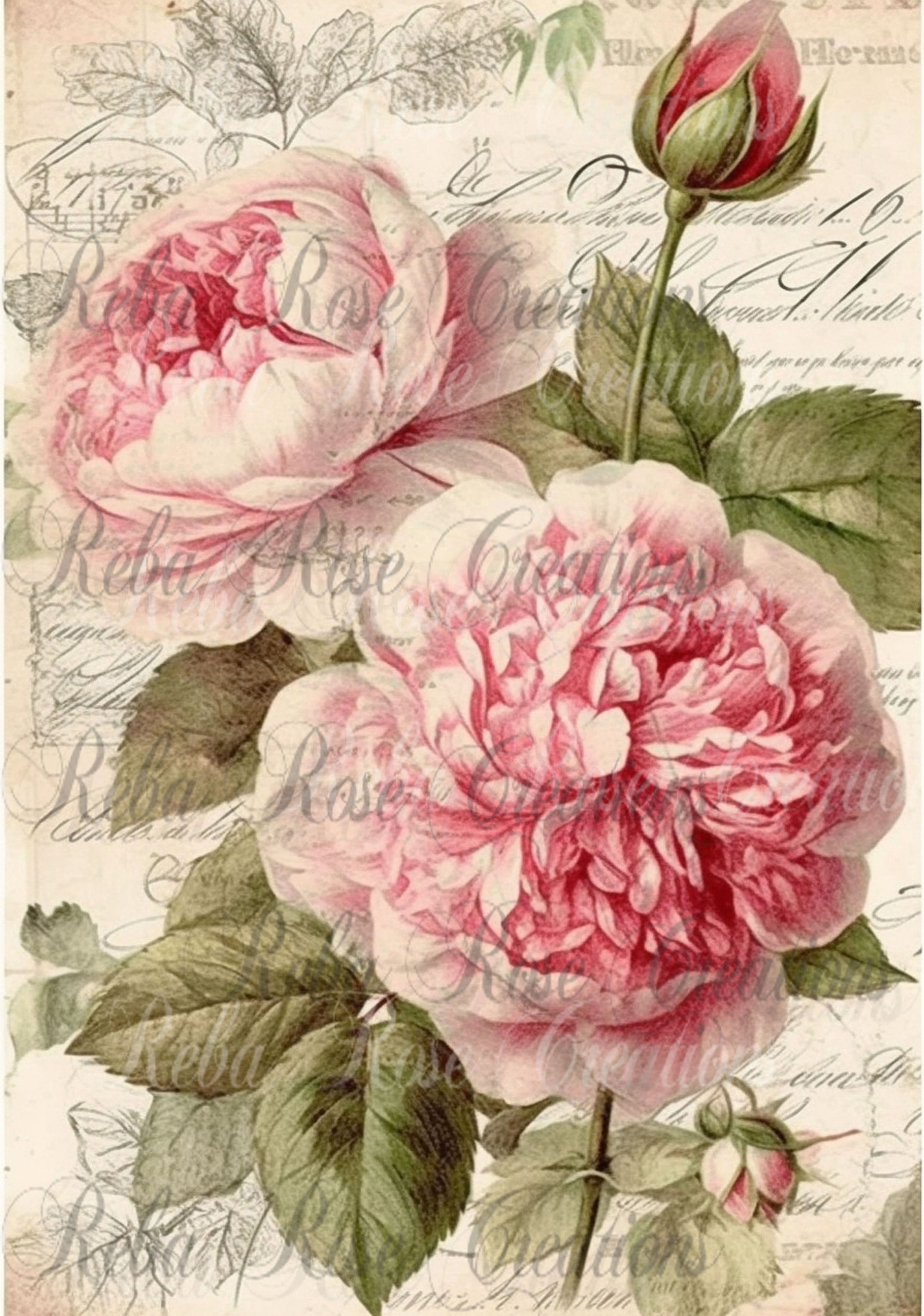 0390 - Pink Peonies