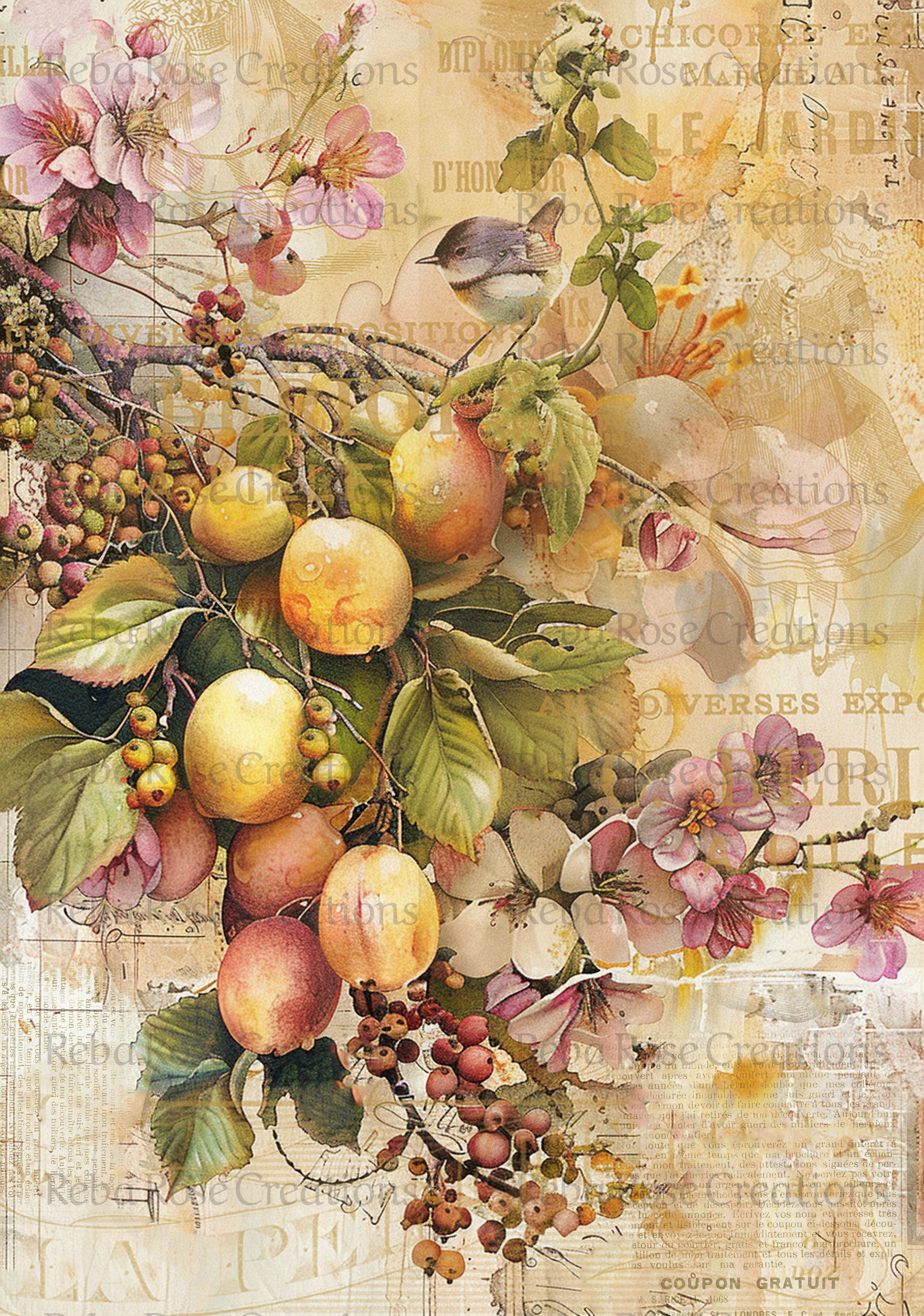Fruit 2