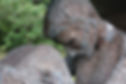 Background image taken by Marcus.