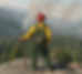 image_ff8b8be0 (1).png