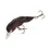 Thumbnail: Wee Crawfish